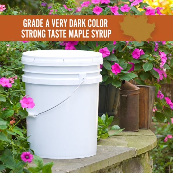 Very Dark Color Strong Taste Maple Syrup Pail